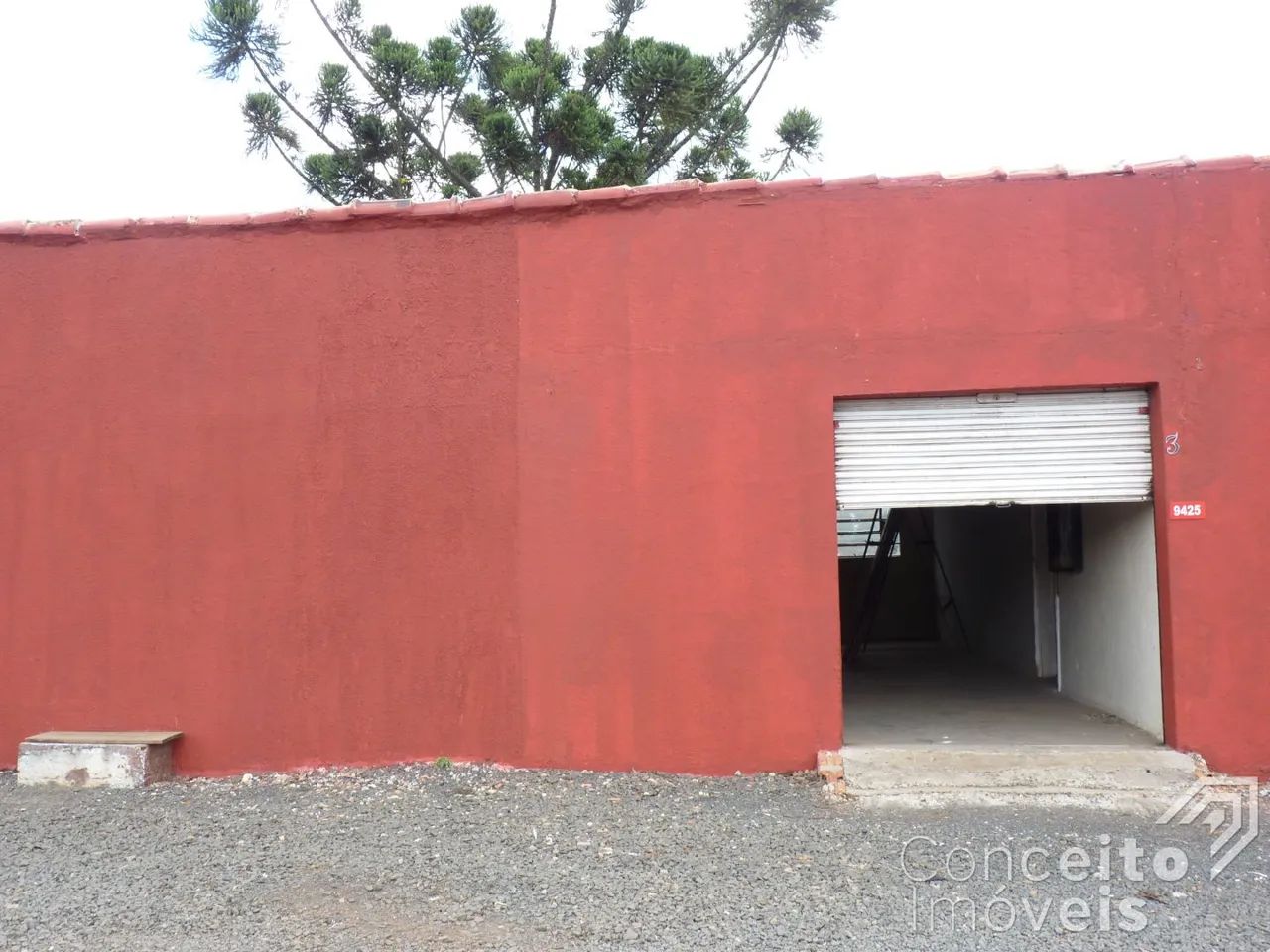 Imóvel Comercial - Bairro Piriquitos - Rodovia BR 376 - Foto 3