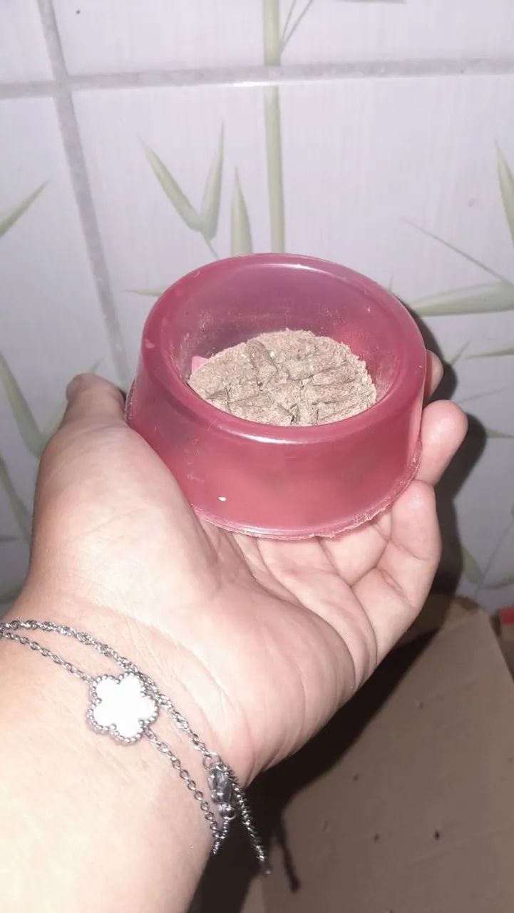 vende-se porquinho da Índia  - Foto 3