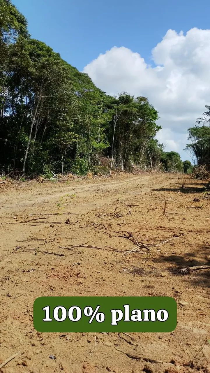 Lote e chácaras  - Foto 3