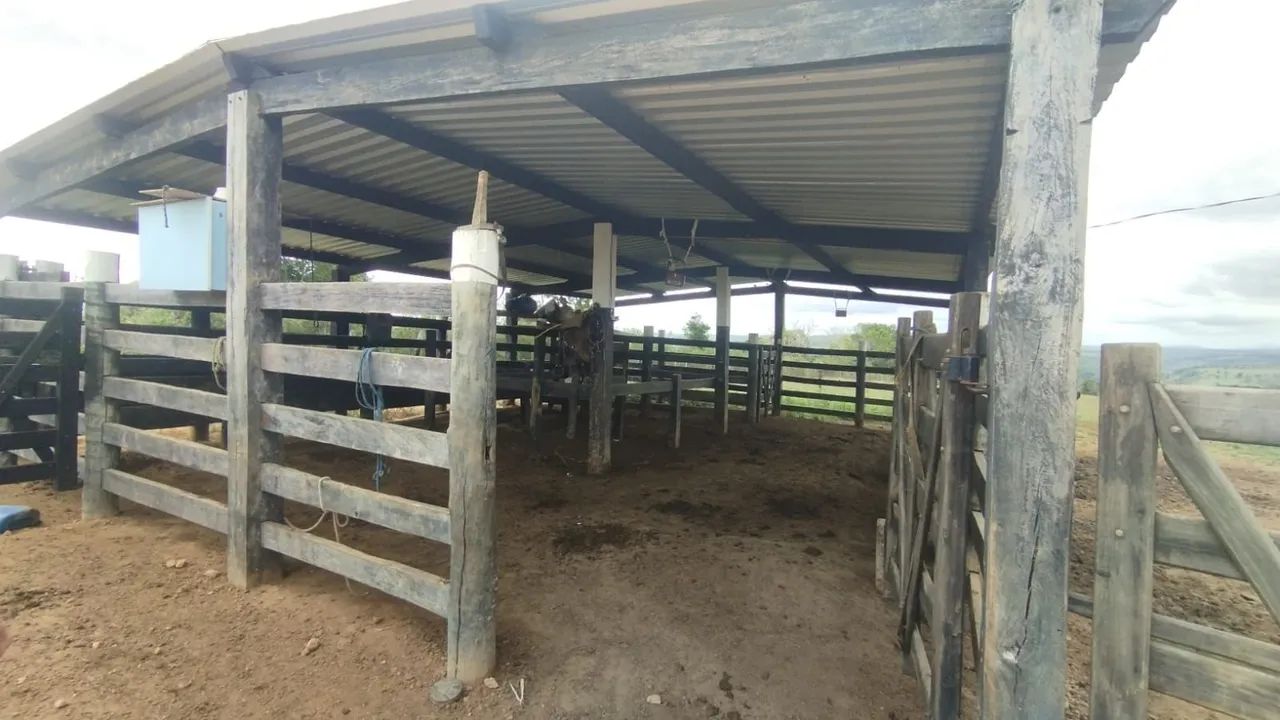 Fazenda a venda em Eunápolis  