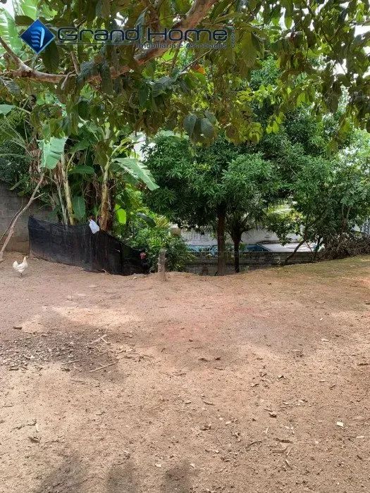 Terreno em Centro - Foto 4