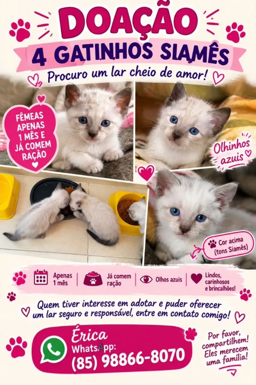 Doação responsável