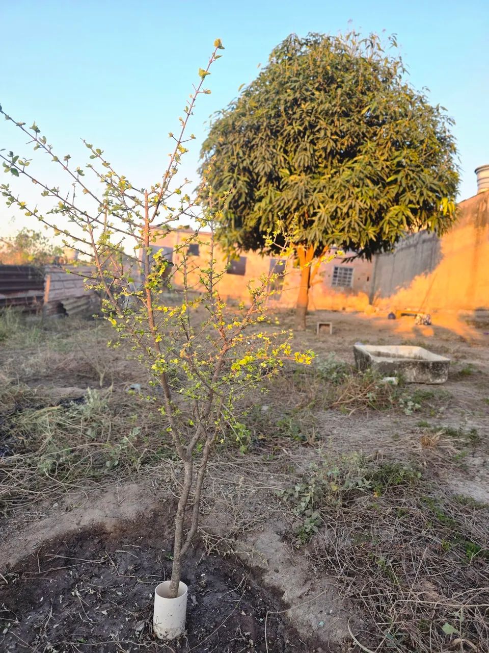 Vende-se lote de 360 m² com construção - Foto 2