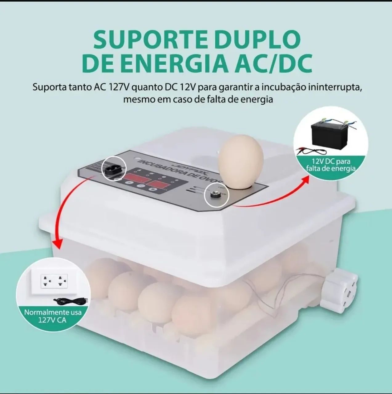 Chocadeira Incubadora