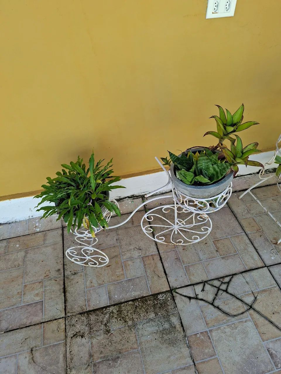 Jarros e plantas - Foto 4