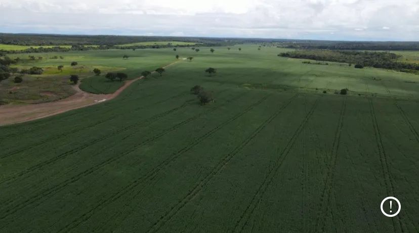Fazenda de 434 alqueires em Divinópolis - Vale do Araguaia Tocantins - Foto 4
