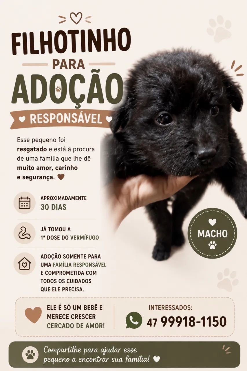 Filhotes disponíveis 