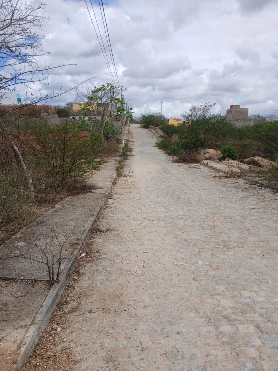 Terreno  - Foto 2