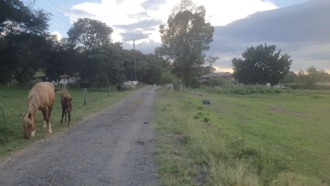 Trabalhador rural - Foto 2