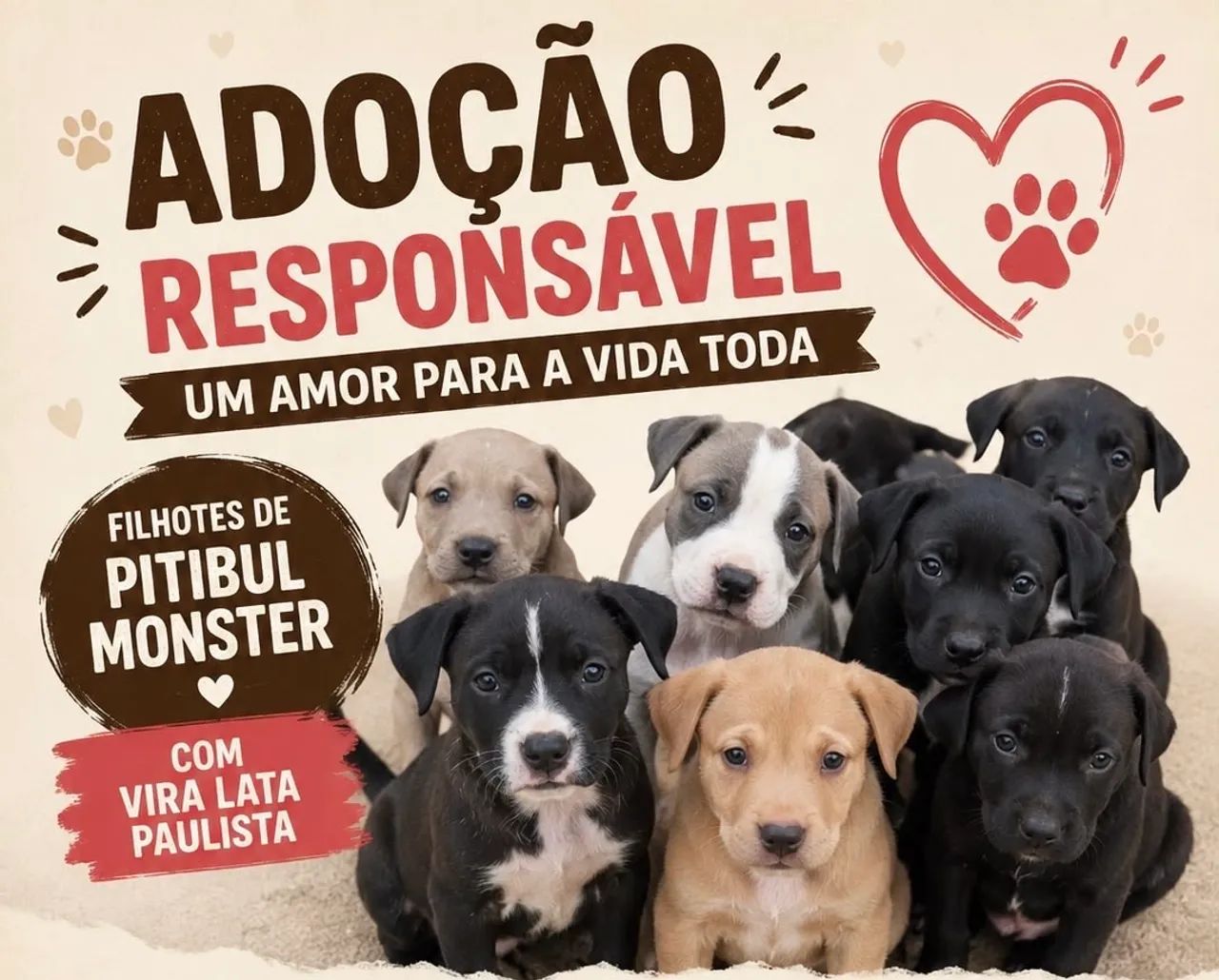 Adoação responsável de filhotes ?