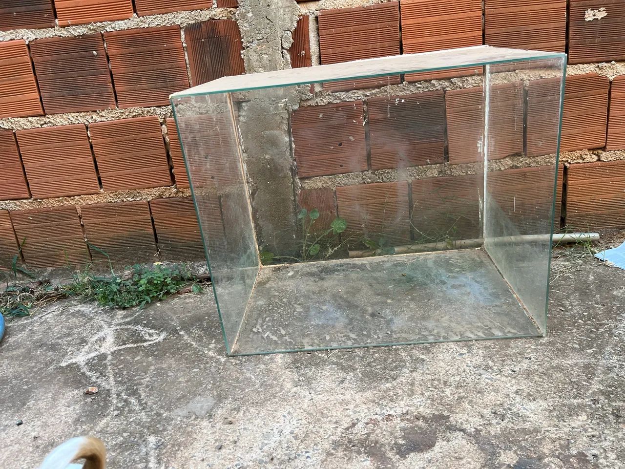 Terrário