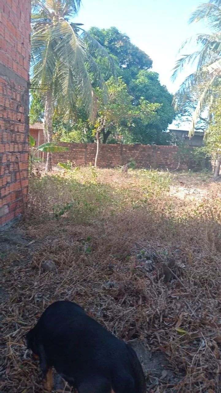 Terreno 12×30  - Foto 3