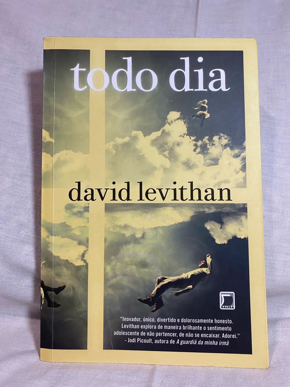 Livro Todo dia - David Levithan