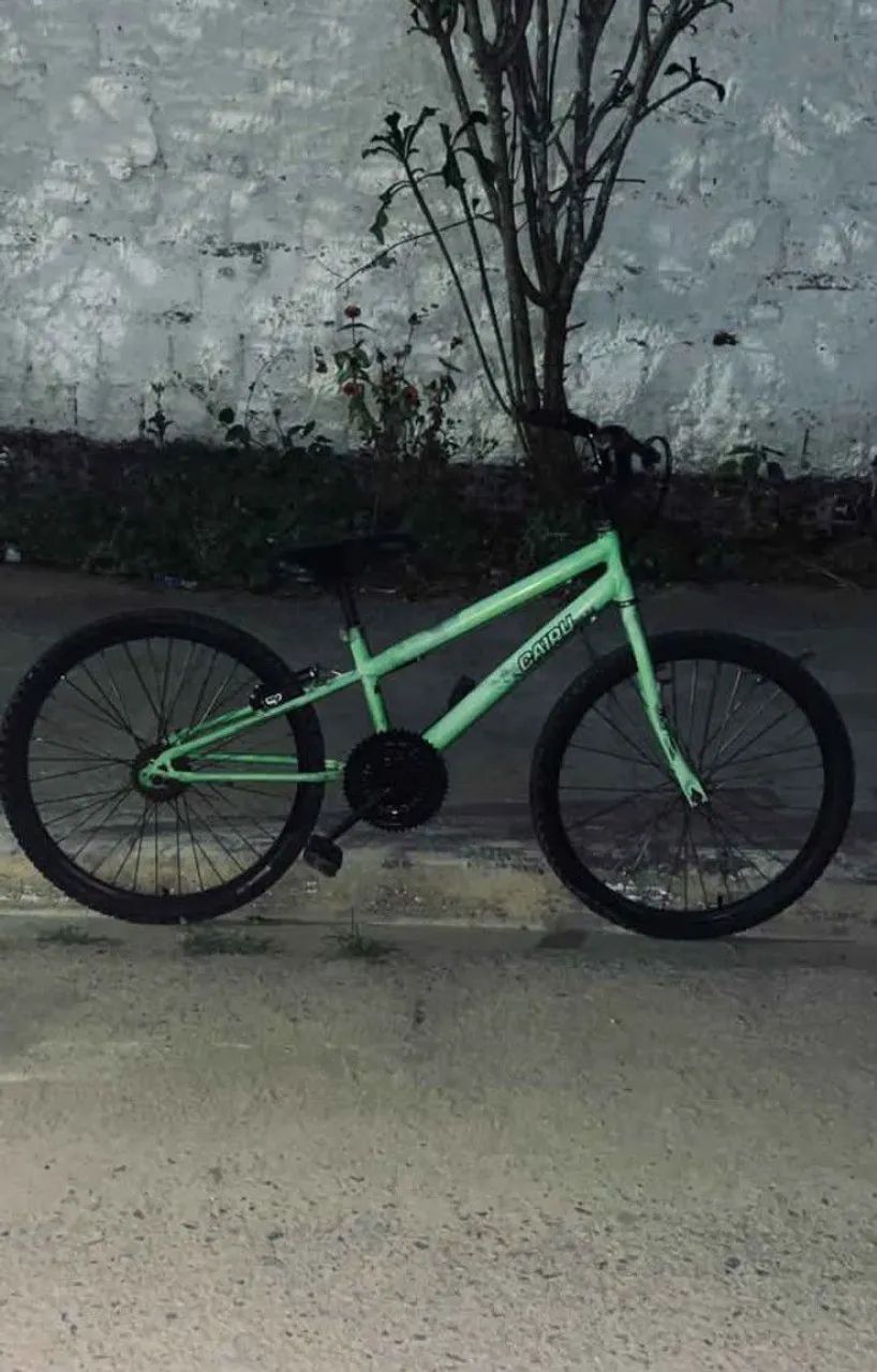 Bicicleta 