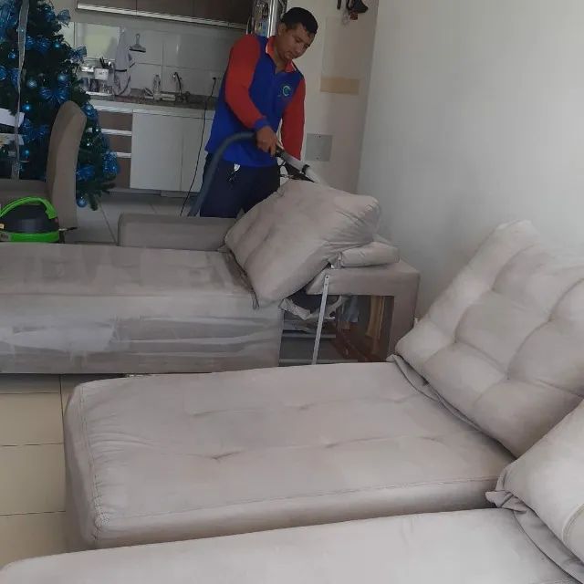 Lavagem a seco e Higienização .