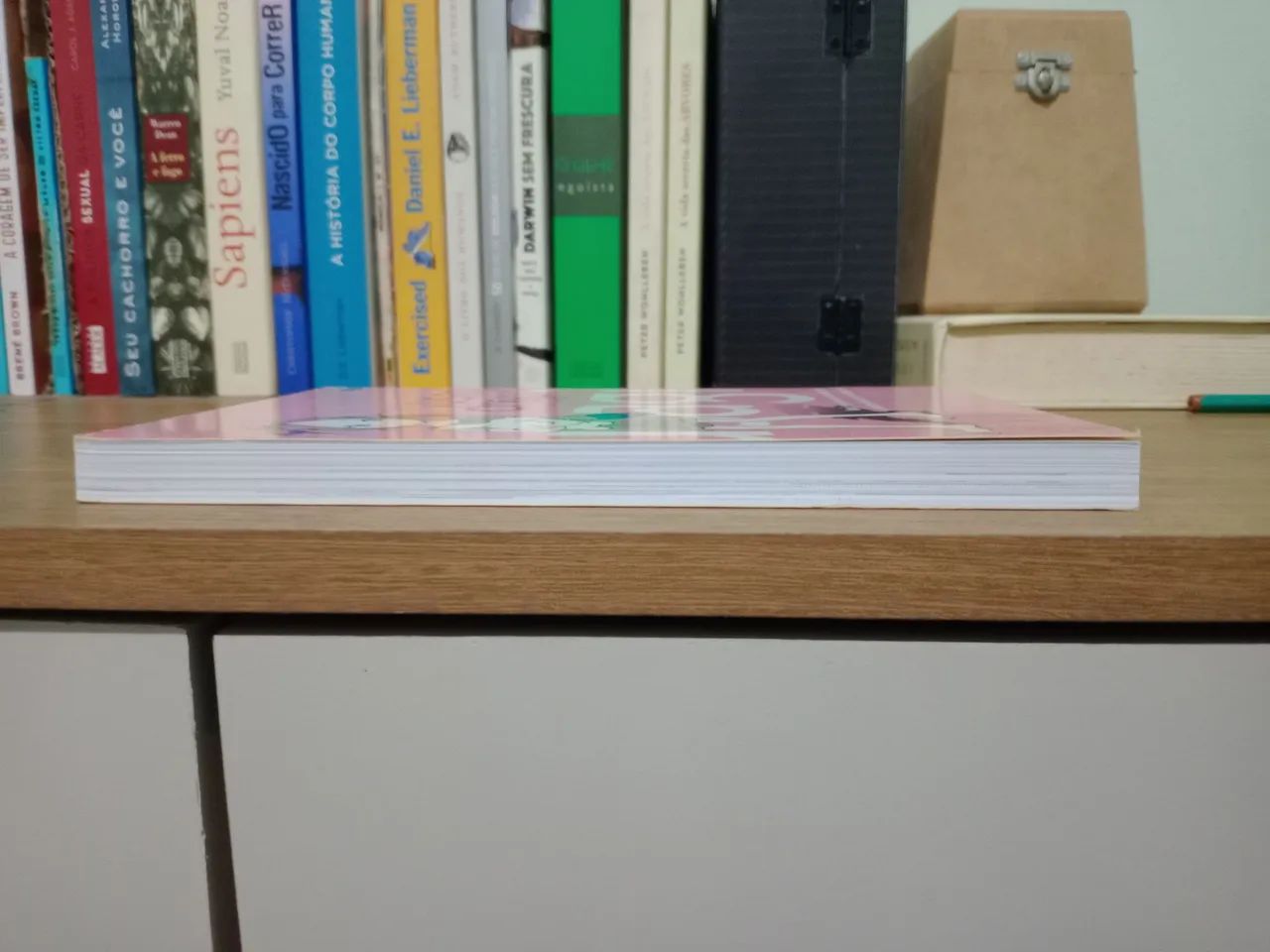 Usagi Drop - Volume 2 - Foto 4