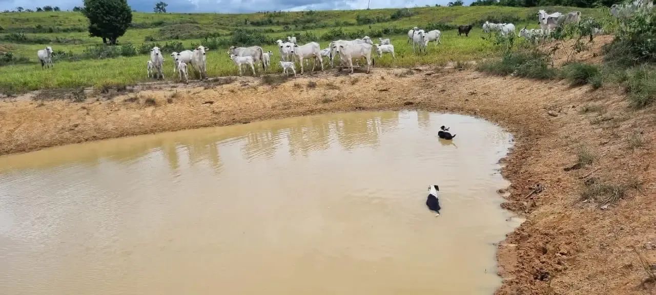 Áreas à venda, CENTRO, Salgado, SE - Foto 2