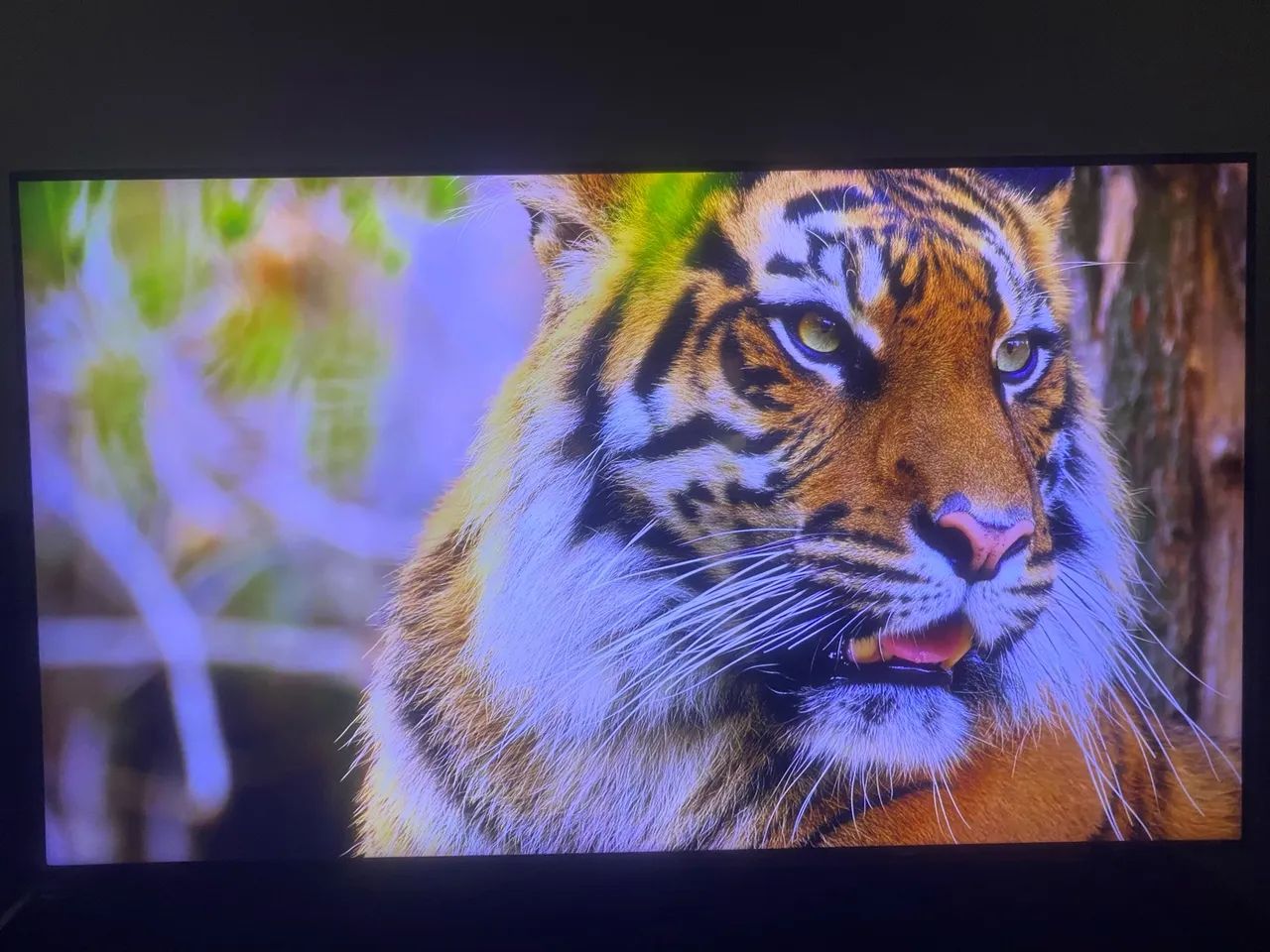 Samsung crystal 55? 4k - Foto 3