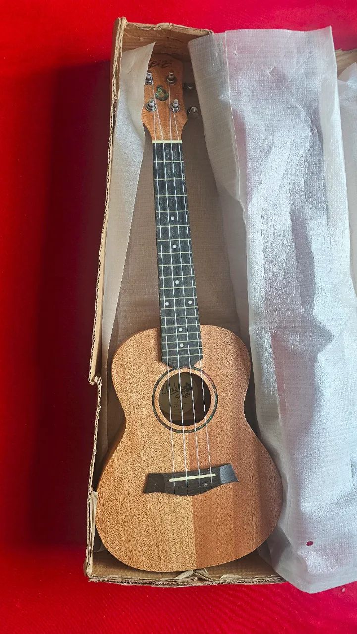 Ukulele Seizi concert - Foto 4