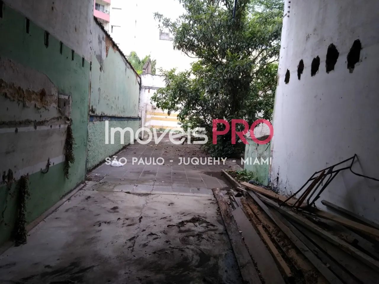 Galpão, Vila Alexandria - São Paulo - Foto 2