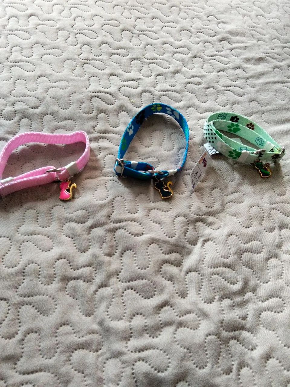 Coleira para gato 