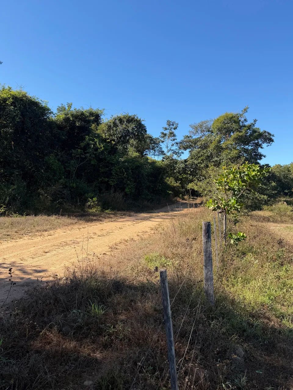 Vendo chácara 4 hectares, próximo a Primavera do Leste. - Foto 4