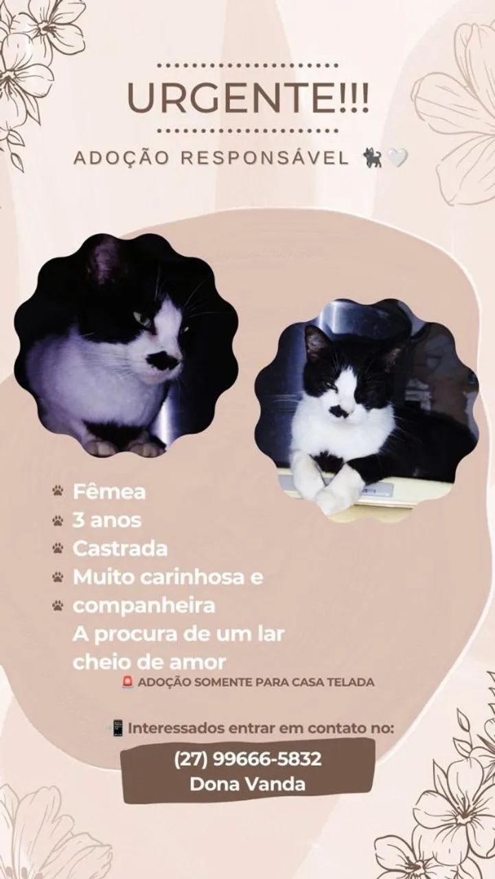 Gastos prá adoção responsável 