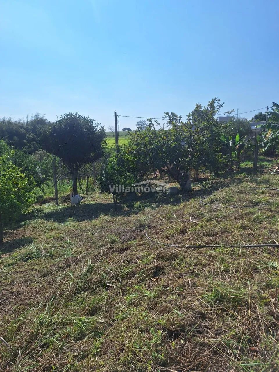 terreno - Chácara Cruzeiro do Sul - Sumaré - Foto 2