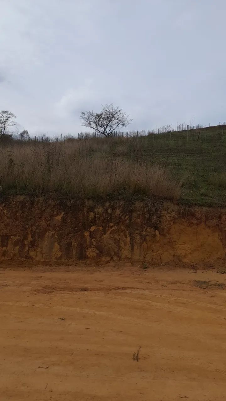 Roçagem e Limpeza de Terrenos, Lotes e Chácaras - Foto 2