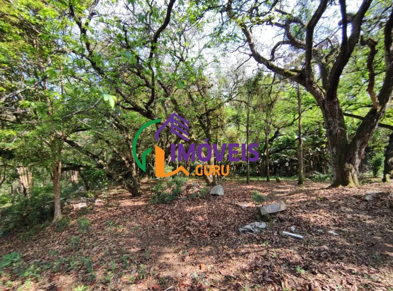 TERRENO - BIANUCCI - MG