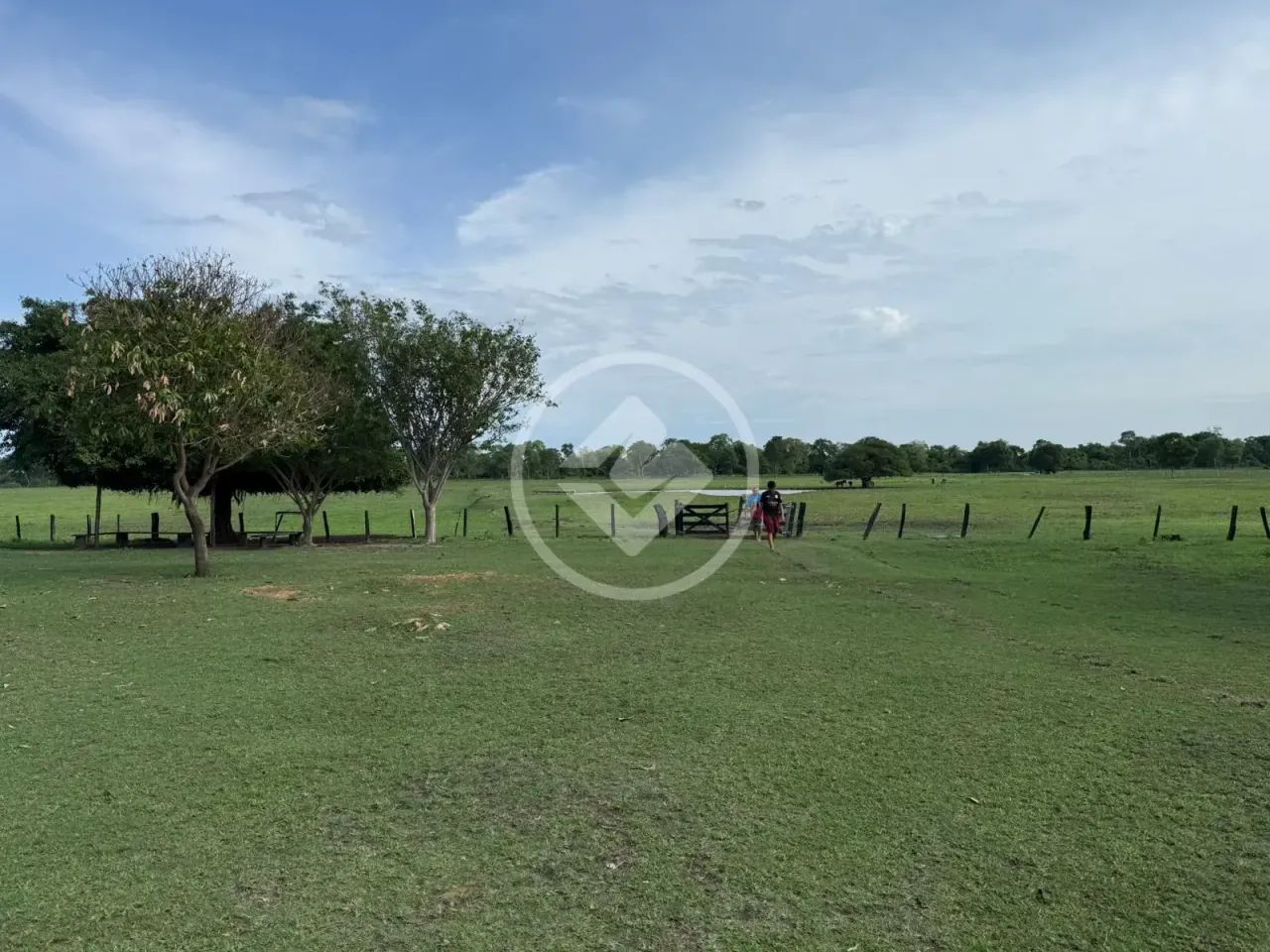 Fazenda de 512 Hectares em Poconé  Pronta para Pecuária e Lazer codigo: 325459 - Foto 5