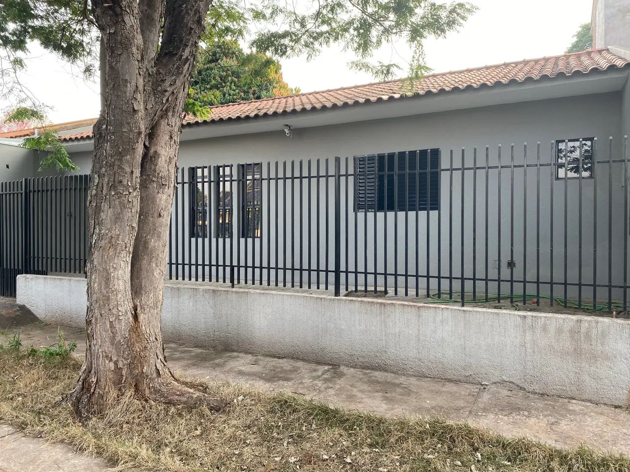 Foto - Maringá - Zona 01