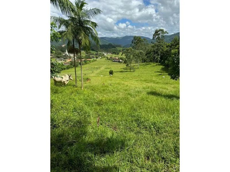 Terreno RIO DOS CEDROS - SC