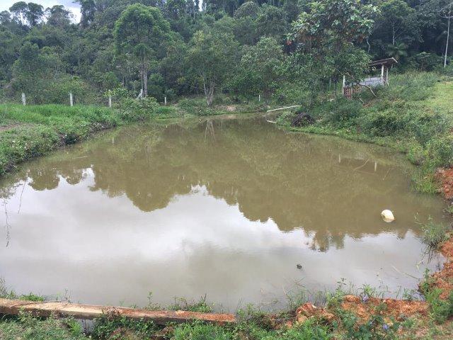 Chácara No Bananal Do Sul - Foto 4