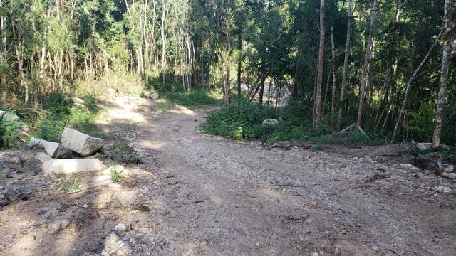 Chácara Agudos do Sul - 50 mts da Br c/ Tanque e rio - Foto 8