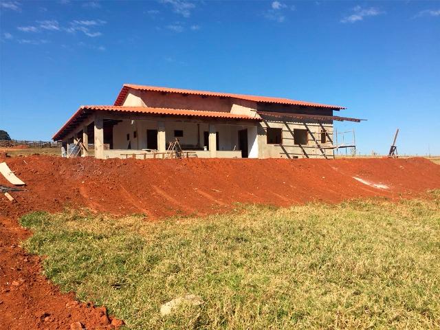 Fazenda no município de Nerópolis-GO - Foto 3