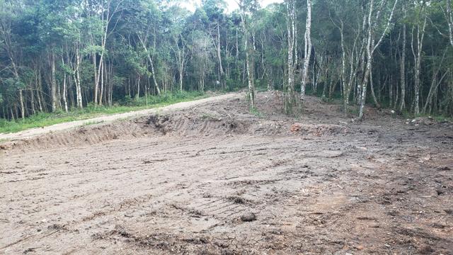 Chácara Agudos do Sul - 50 mts da Br c/ Tanque e rio - Foto 15