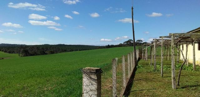 Fazenda Para Plantio de Grãos, Área Mecanizável - Foto 9