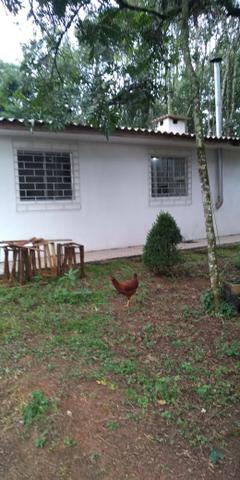 Área Colônia Zacarias - Foto 6
