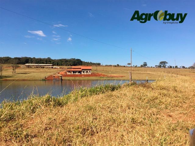 Fazenda no município de Nerópolis-GO