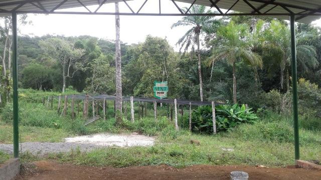 Fazenda localizada na cidade de Taperoá. - Foto 12