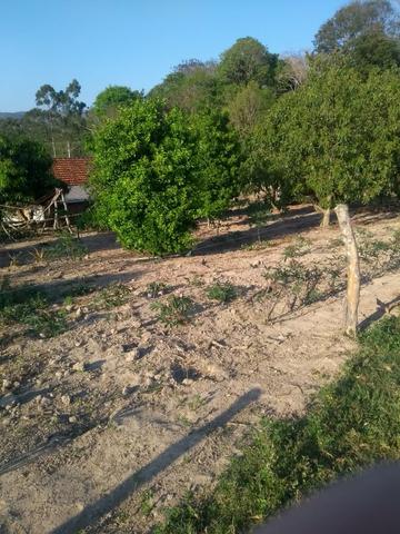 Chácara próximo de Congonhinhas faça sua proposta - Foto 13