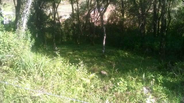 Terreno em Santa Barbara de Ana Reck - Foto 6