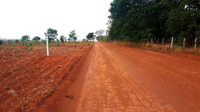 Ch?caras 20.000 metros 60km de Taguatinga - Foto 3