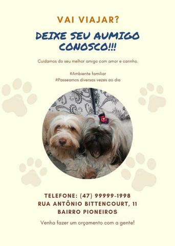 Hotel Para Cachorro!