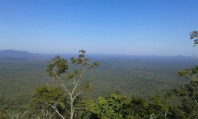 Fazenda e Cotas para Reposição Florestal - Foto 3