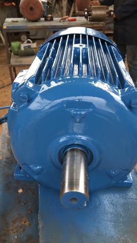 Motor elétrico trifásico 15 cv