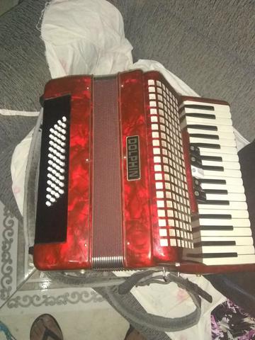 Acordeon dolphin 1500,00 - Foto 3