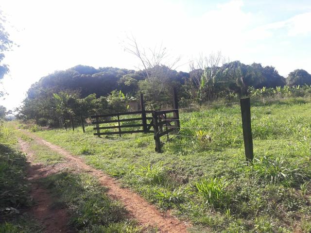 Vendo ou troco chácara na estrada do quinari ramal do cacau travessa da pupunha - Foto 4