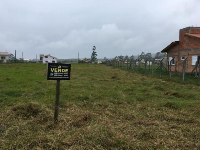 Terreno para venda em imbituba, alto arroio - Foto 4